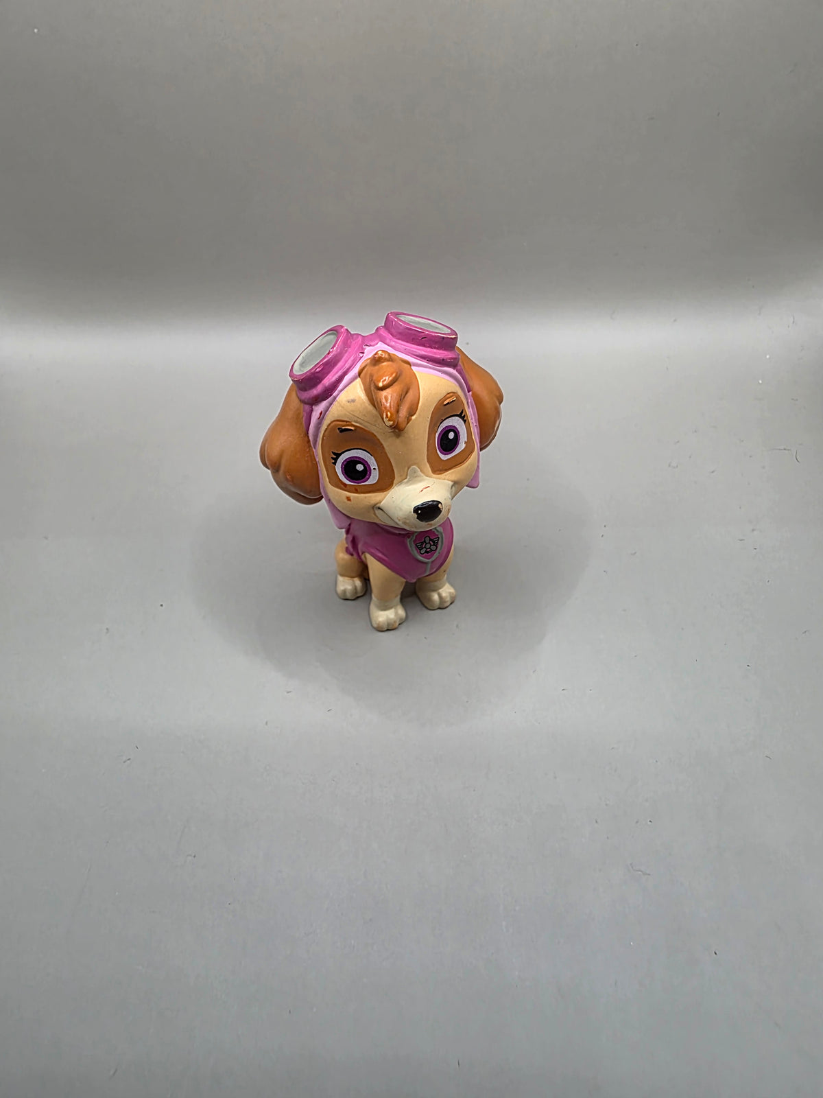 Paw Patrol - Sky